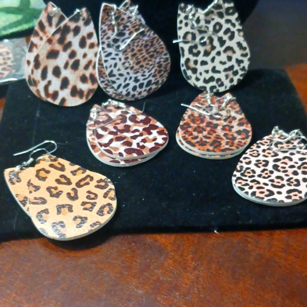 EARRINGS ...2 Pairs For $12.00